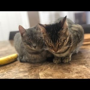 Meet your Posher, Hellen